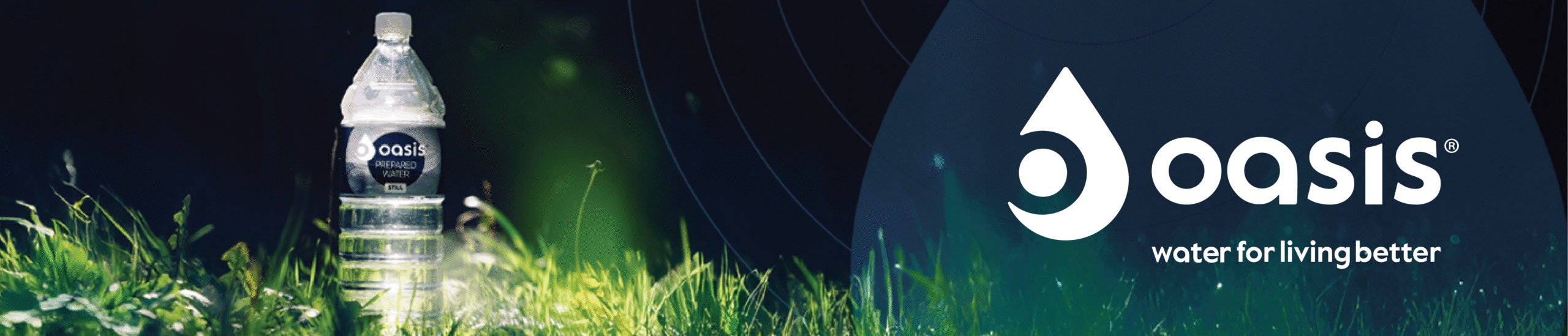 Website Banner
